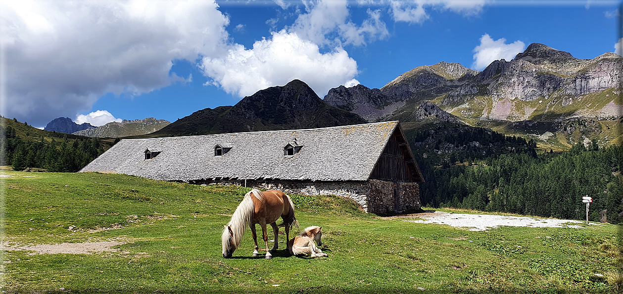 foto Dai Laghi di Rocco al Passo 5 Croci